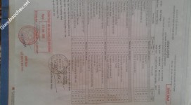 ảnh đính kèm của gia sư