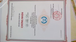 ảnh đính kèm của gia sư