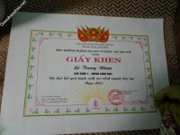 ảnh đính kèm của gia sư