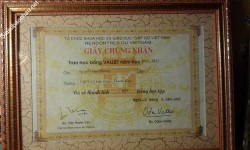 ảnh đính kèm của gia sư