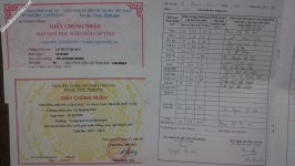 ảnh đính kèm của gia sư