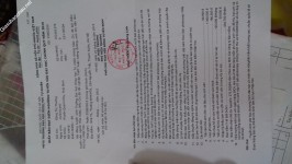 ảnh đính kèm của gia sư