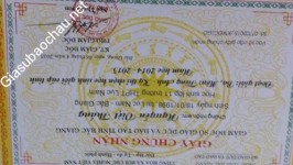 ảnh đính kèm của gia sư