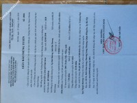 ảnh đính kèm của gia sư