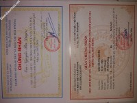 ảnh đính kèm của gia sư