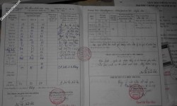 ảnh đính kèm của gia sư