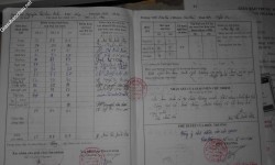 ảnh đính kèm của gia sư