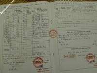 ảnh đính kèm của gia sư