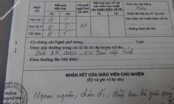 ảnh đính kèm của gia sư