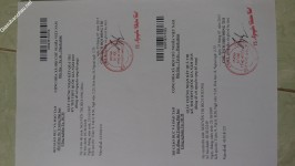 ảnh đính kèm của gia sư