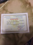 ảnh đính kèm của gia sư