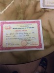 ảnh đính kèm của gia sư