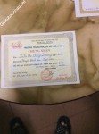ảnh đính kèm của gia sư