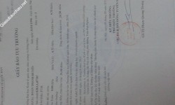 ảnh đính kèm của gia sư