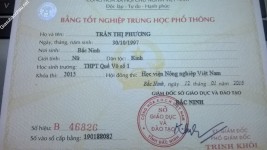 ảnh đính kèm của gia sư