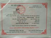 ảnh đính kèm của gia sư