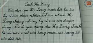 ảnh đính kèm của gia sư