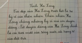 ảnh đính kèm của gia sư