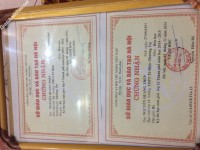 ảnh đính kèm của gia sư