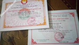 ảnh đính kèm của gia sư