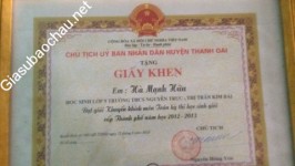 ảnh đính kèm của gia sư