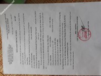 ảnh đính kèm của gia sư