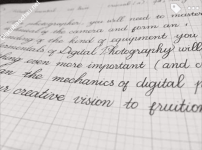 ảnh đính kèm của gia sư