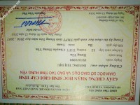 ảnh đính kèm của gia sư