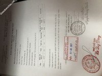 ảnh đính kèm của gia sư