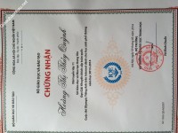 ảnh đính kèm của gia sư