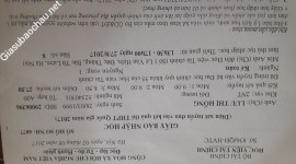 ảnh đính kèm của gia sư