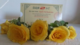 ảnh đính kèm của gia sư