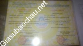 ảnh đính kèm của gia sư