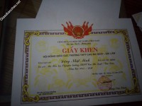 ảnh đính kèm của gia sư