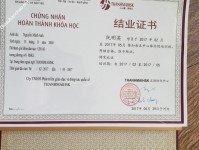 ảnh đính kèm của gia sư