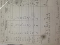 ảnh đính kèm của gia sư