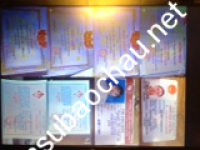 ảnh đính kèm của gia sư