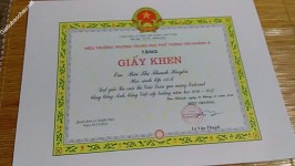 ảnh đính kèm của gia sư