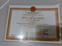 ảnh đính kèm của gia sư