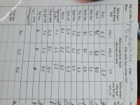 ảnh đính kèm của gia sư