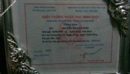 ảnh đính kèm của gia sư