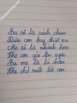 ảnh đính kèm của gia sư