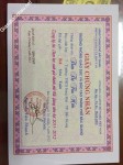 ảnh đính kèm của gia sư