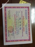 ảnh đính kèm của gia sư