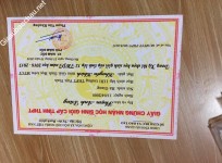 ảnh đính kèm của gia sư