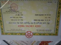 ảnh đính kèm của gia sư