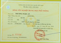ảnh đính kèm của gia sư