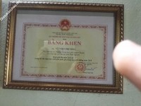 ảnh đính kèm của gia sư