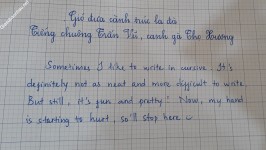 ảnh đính kèm của gia sư