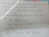 ảnh đính kèm của gia sư